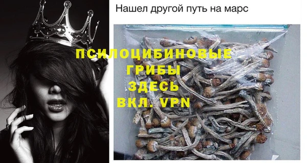 прущая мука Алзамай