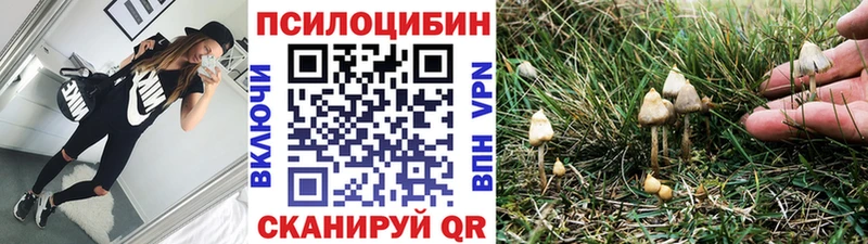 Галлюциногенные грибы Cubensis  Шатура 