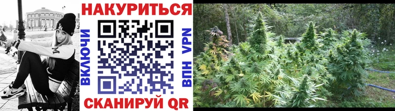 Каннабис семена  Шатура 