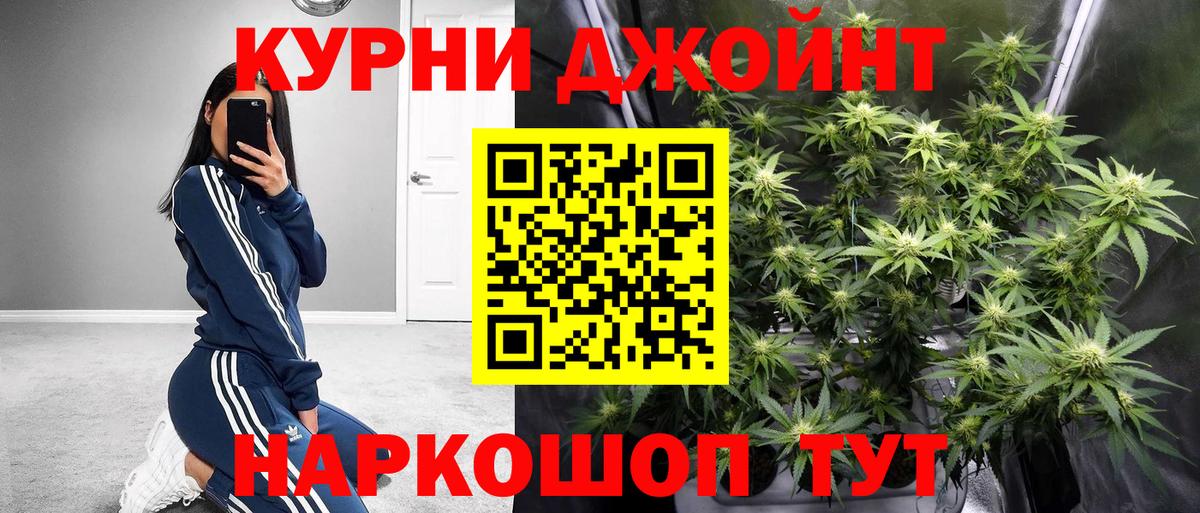 Конопля индика Шатура